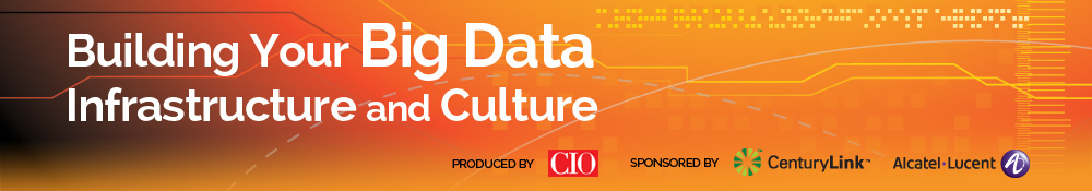 CIO Executive Forum: Big Data